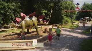 preview picture of video 'Wellington Country Park - Dinosaurs'