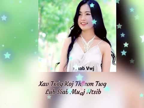 David Yang "Nyob ib Leeg Xav Txog" Ft. Huab Vwj & Bob Vue (Remix by Dj Peter) Lyrics by Jenny Xiong.