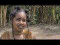 My Commitment My Revenge - Nigerian Movies