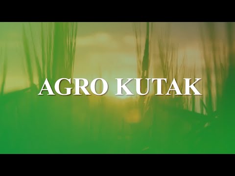 AGRO KUTAK: Uzgoj borovnica - 25.06.2022.