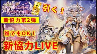 【白猫】5周年まったり新協力！凱旋ジャンボチケット・プレミアムチケットも引きます！【キャラガチャ】