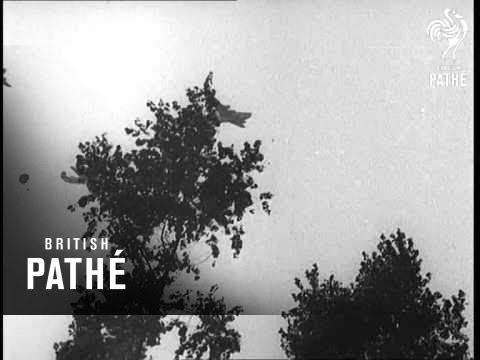 Die roten Teufel von Arnheim (1944)