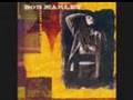 Bob Marley - Roots Rock Reggae (tribute) 