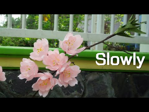 ABC TV | How To Make Cherry Blossom with crepe paper (Slowly)- Craft Tutorial