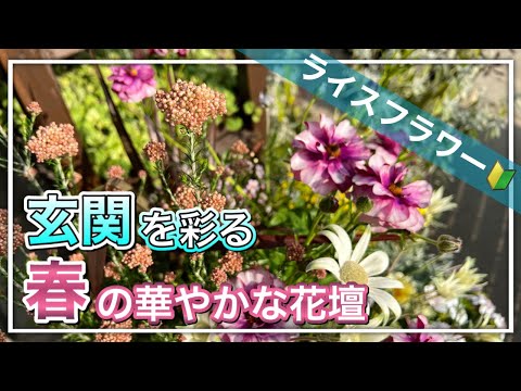 園芸 ワックスフラワー、ポーセリンフラワー