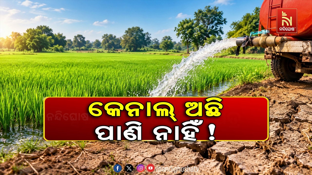 ମାସକ ତଳେ ଭସାଉଥିଲା, ଏବେ ଜମି ଫାଟି ଆଁ କଲାଣି , ବର୍ଷା ଅଭାବ ଓ 