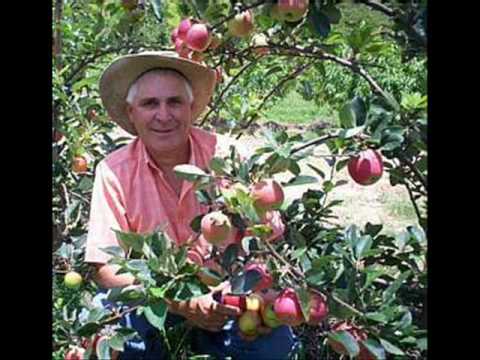 BARRERITO MUSICA FILHA DA VIZINHA