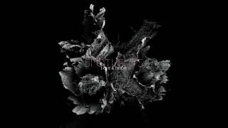 Spotlights "The Particle Noise" (pre-order now)