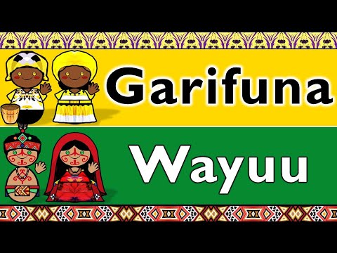 ARAWAKAN: GARIFUNA & WAYUU