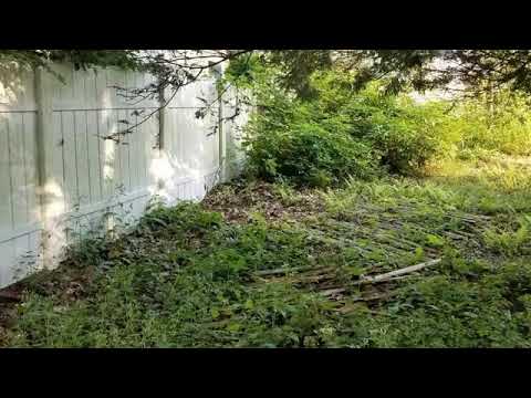 251 Lake Shore Drive, Wayland, MA - Listed by Debi Benoit