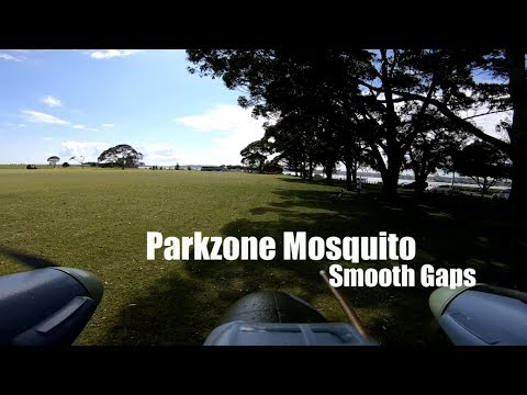 et-vector-powered-parkzone-mosquito--smooth-gaps