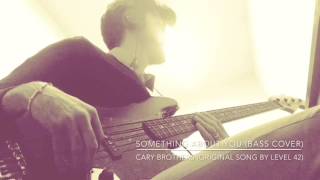 Cary Brothers - Something about you (bass cover)