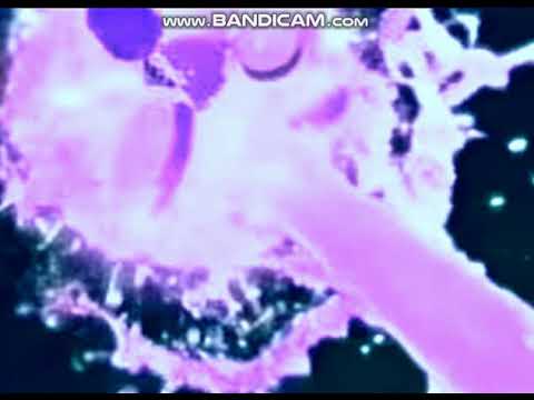 KUOO Campus Radio Airchecks - March 1, 2020