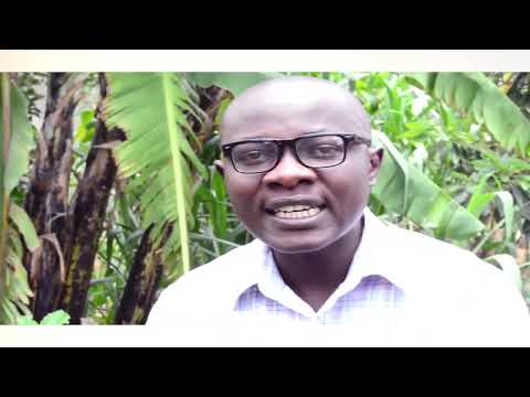 TUKO TAYARI by peter mbui SBA PICTURES