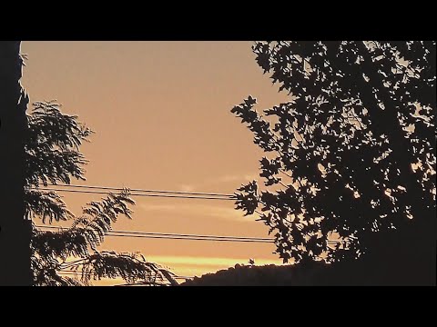 REBMANE - CLIP [PROD. DOZY SLACK X INSO] (MUSIC VIDEO)