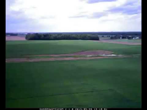 Time-lapse of a Wheat Field