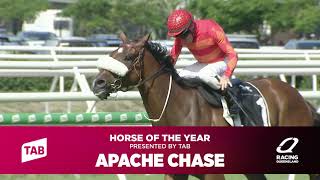TAB Queensland Horse of the Year - Apache Chase
