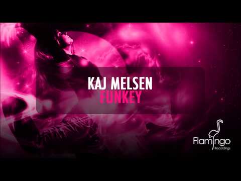 Kaj Melsen - Funkey (Preview) [Flamingo Recordings]