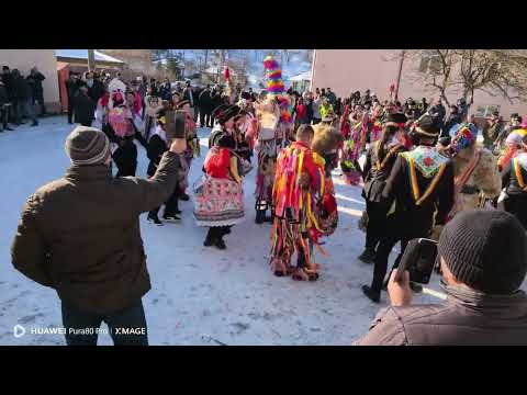 @Capra de la Băhnășeni 2025