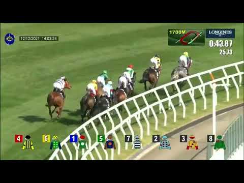 2021 HK  SHA TIN  HONG KONG VASE