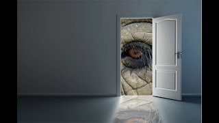 Muros y Puertas Carlos Varela