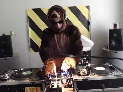 Introducing DJ BRoWNBEAR