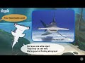 L2 062 Meet the Animals 62   Hammerhead Shark