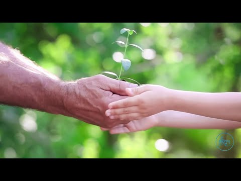 The Power of Sight | Rabbi Naftali Horowitz
