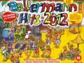 Ballermann Hits 2012 #16-20 (MiniMix) 