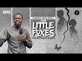 Marriage Series Part 4: The Little Foxes – The Butterfly Effect | Phaneroo Sunday 224 | Ap. Grace