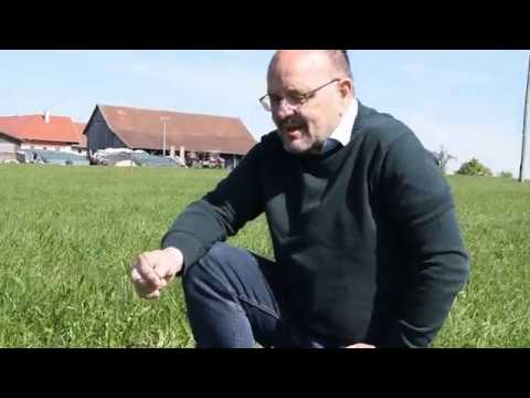 Maschinenring Feldtage - Düngungsversuch im Grünland Teil 3 (2. Aufwuchs)