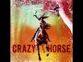 The Legend of Lakota War Leader of the Oglala Band, Crazy Horse (Part 1)