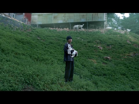 우원재 (Woo) - 'JOB (Feat. Tiger JK & 김아일)' Official Music Video [ENG/CHN SUB]