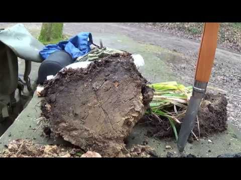 Homemade water filter!