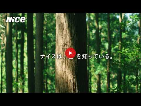 YouTube動画