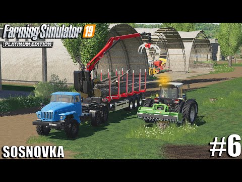 Clearing Land for Fields | Sosnovka | Farming Simulator 19 | #6