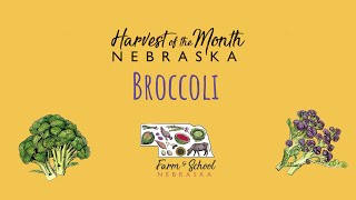 Harvest of the Month: Broccoli