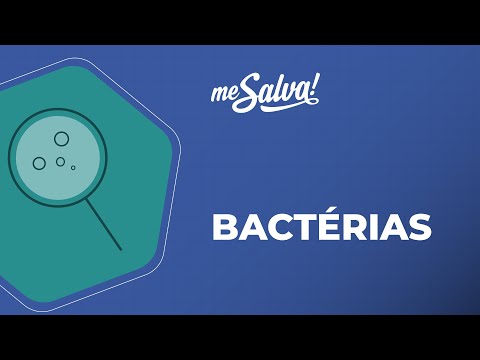 Bactérias - Microbiologia - Me Salva! Saúde