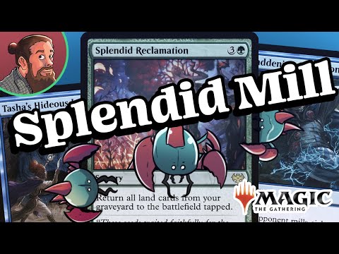 $77 Splendid Mill 🔵🦀🟢 Standard Budget Magic