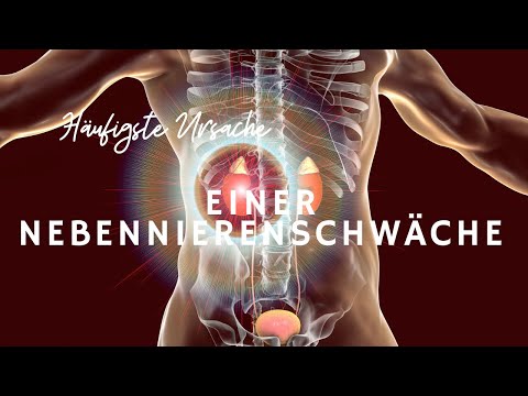 Häufigste Ursache einer Nebennierenschwäche