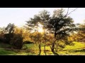 Sunset Melodies # 28 - Progressive House ...