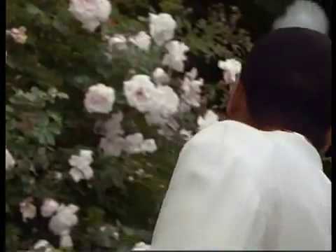 ⊕176 Der Alte Der dritte Versuch 1992