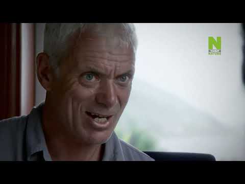 Édesvízi szörnyek - Loch Ness legendája