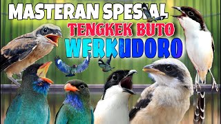 Download lagu MASTERAN CENDET TENGKEK BUTO WERKUDORO FULL TEMBAKAN PANJANG KEKINIAN mp3