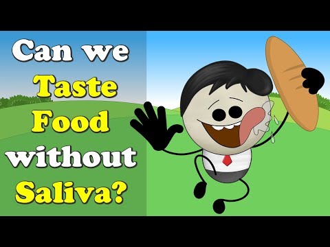Can we Taste Food without Saliva? | #aumsum