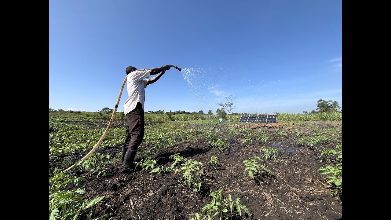 Solar-powered irrigation transforms farming for Alex