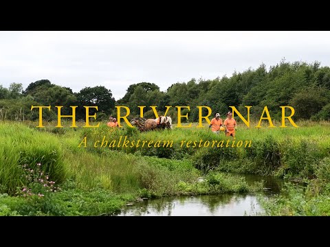 The River Nar: A chalkstream restoration | Reconnecting the river to the surrounding landscape