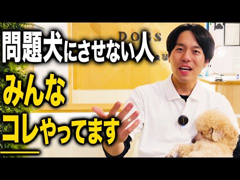 鶏を犬から守るためのヒント 鶏小屋を確保する 保護メッシュを設置する