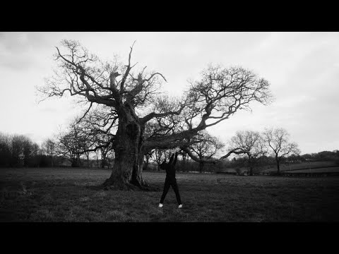 Ed Scissor + Lamplighter - Picture A Day (OFFICIAL VIDEO)