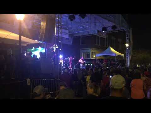 Bag of Donuts - Turn Down for What